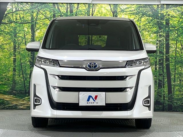 NOAH HYBRID