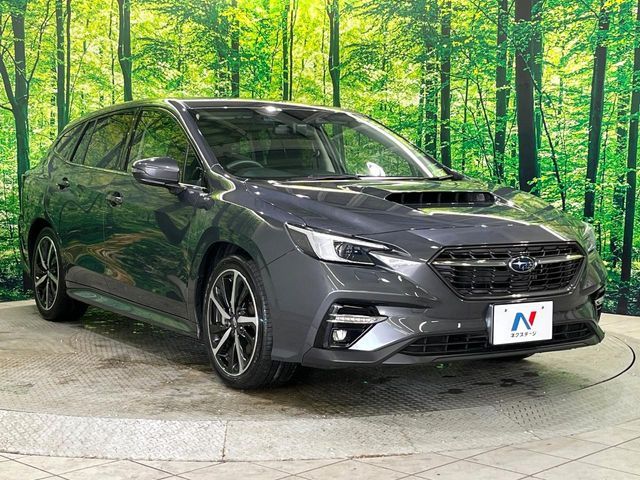 LEVORG