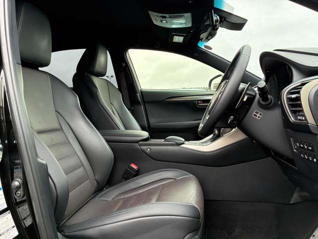 LEXUS NX300h AWD