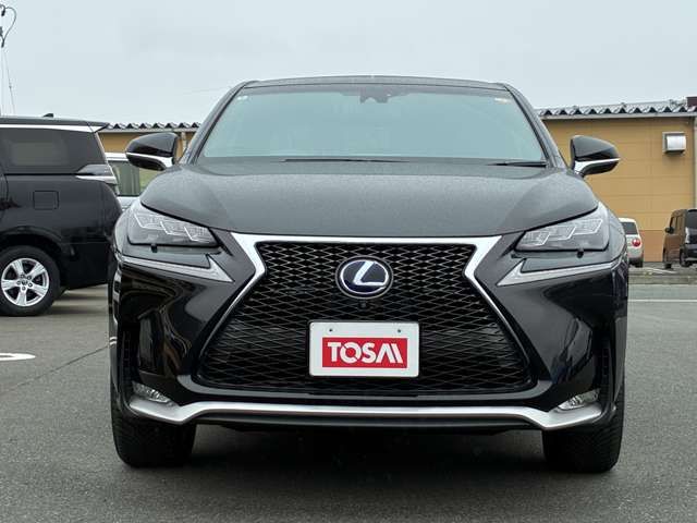 LEXUS NX300h AWD