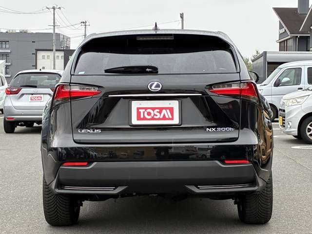 LEXUS NX300h AWD