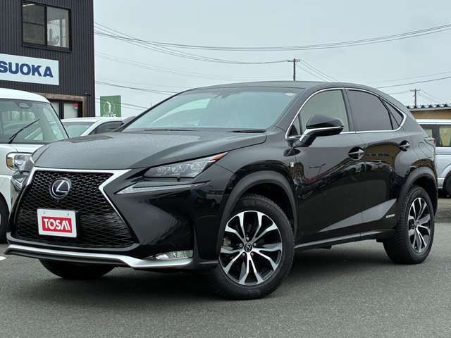 LEXUS NX300h AWD