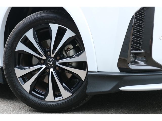 LEXUS UX250h