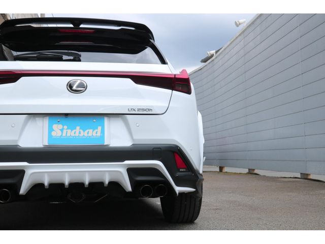 LEXUS UX250h
