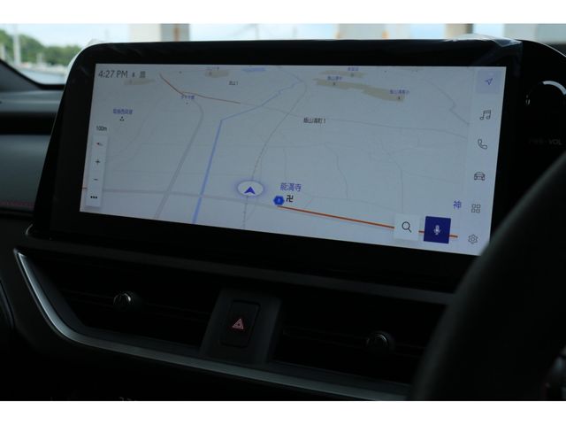LEXUS UX250h