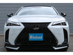 LEXUS UX250h