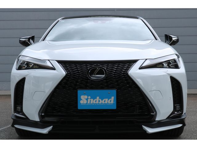 LEXUS UX250h