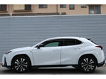 LEXUS UX250h