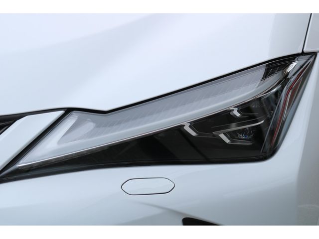 LEXUS UX250h
