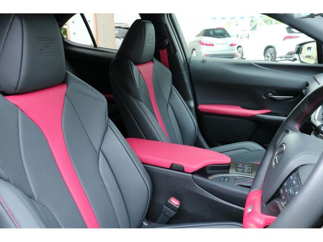 LEXUS UX250h