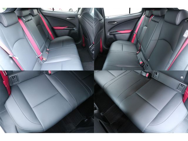 LEXUS UX250h