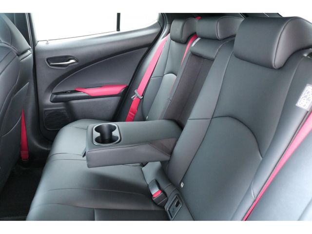 LEXUS UX250h