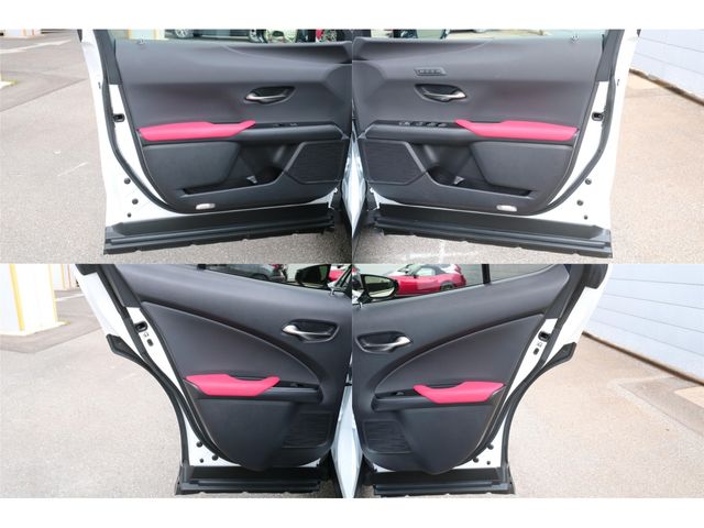 LEXUS UX250h