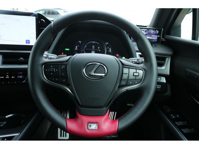 LEXUS UX250h
