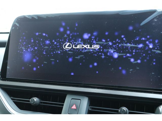 LEXUS UX250h