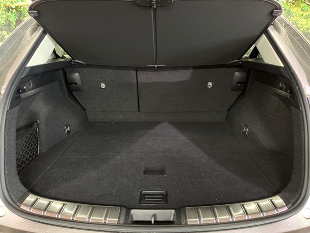 LEXUS NX350h