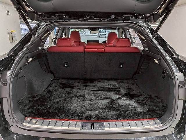 LEXUS RX450h AWD