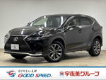 LEXUS NX300h
