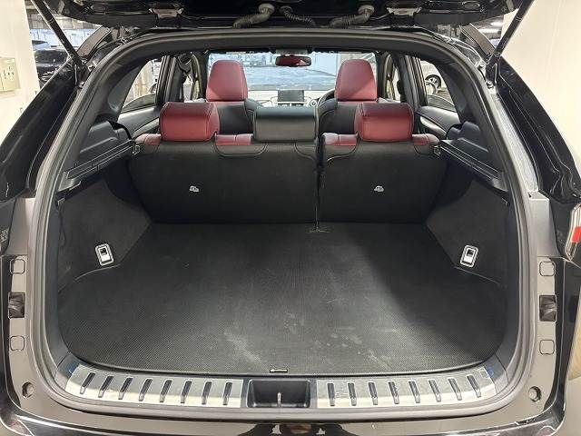 LEXUS NX300h