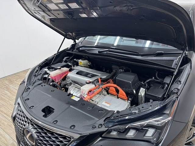 LEXUS NX300h
