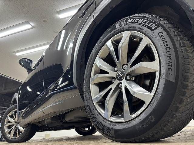 LEXUS NX300h