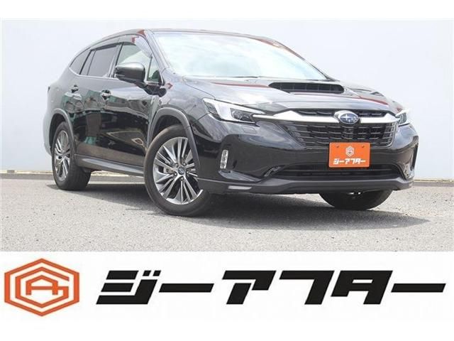 LEVORG LAYBACK