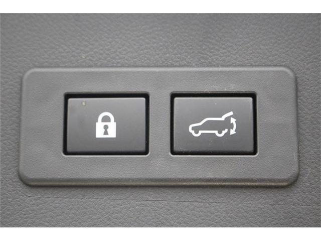 LEVORG LAYBACK