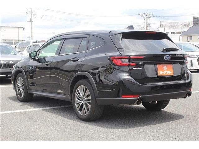 LEVORG LAYBACK