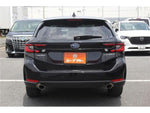 LEVORG LAYBACK