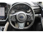 LEVORG LAYBACK
