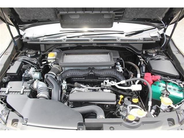 LEVORG LAYBACK