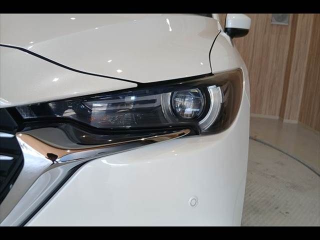 CX-8
