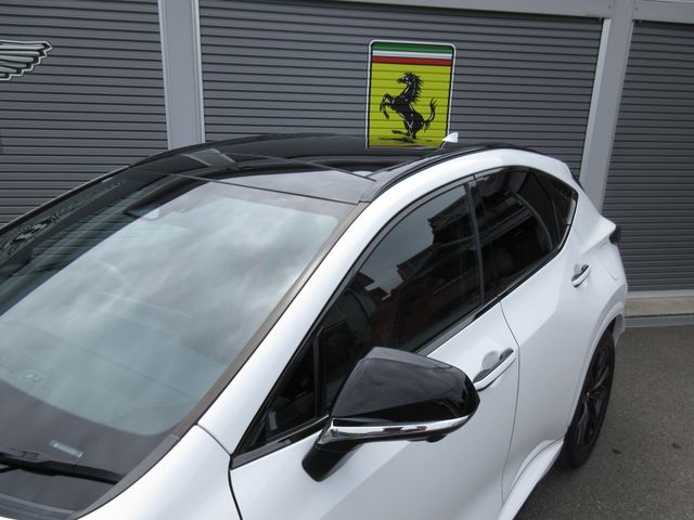 LEXUS NX350h
