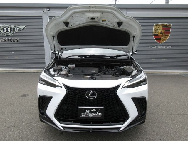 LEXUS NX350h