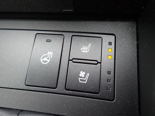 LEXUS IS300h