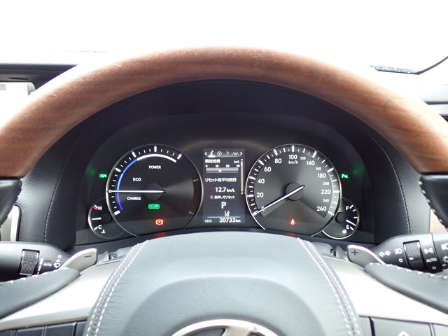 LEXUS GS300h