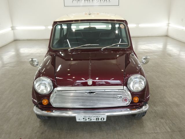 ROVER MINI