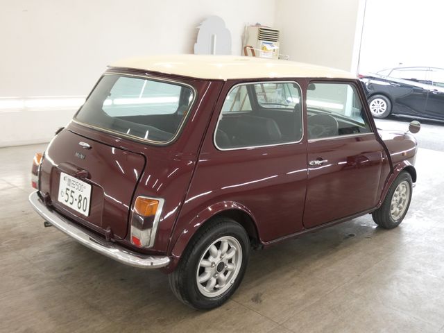 ROVER MINI