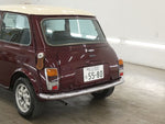 ROVER MINI