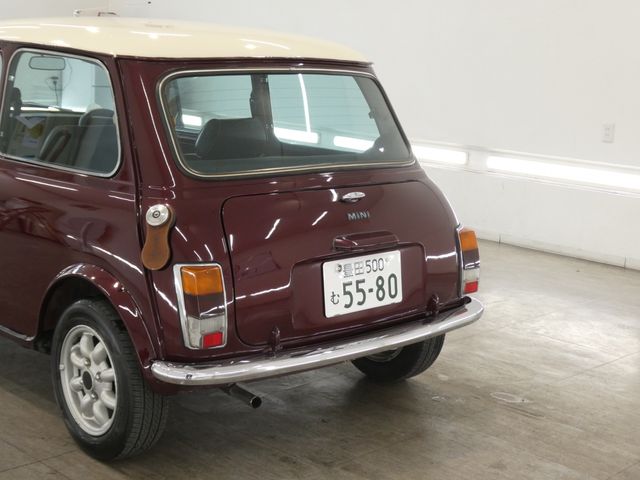 ROVER MINI