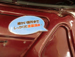 ROVER MINI