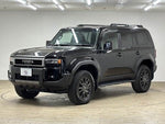 LANDCRUISER 250