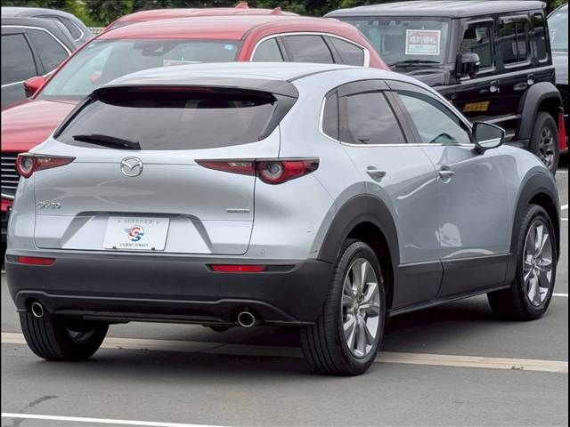 CX-30