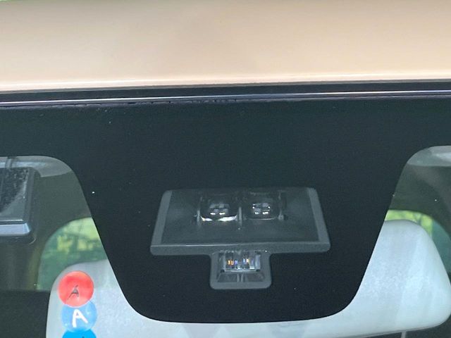 HUSTLER