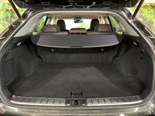 LEXUS RX450h AWD