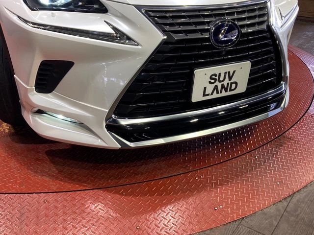 LEXUS NX300h