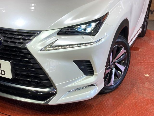LEXUS NX300h