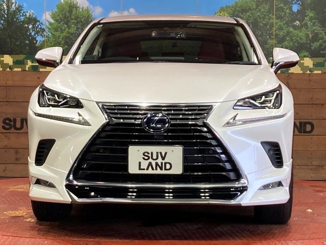LEXUS NX300h