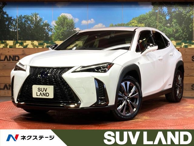 LEXUS UX250h