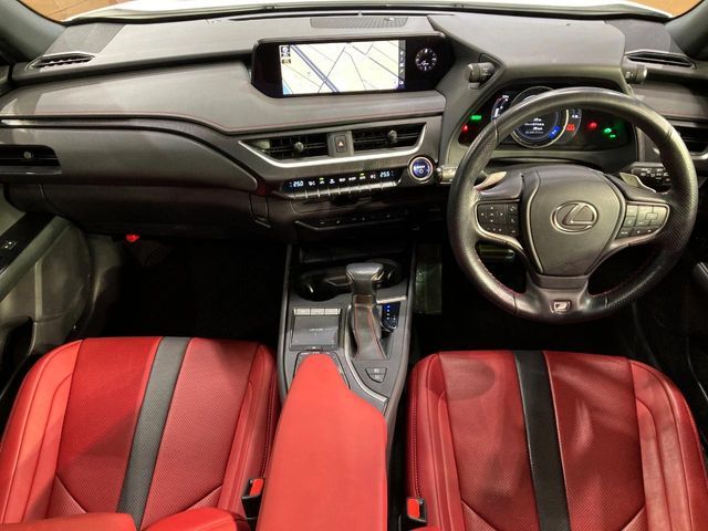 LEXUS UX250h